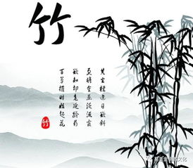 竹水的詩(shī)句古詩(shī)