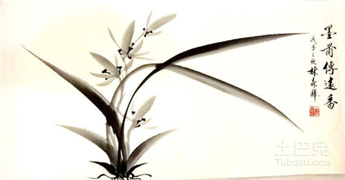 梅蘭竹菊的詩(shī)句4句,關(guān)于梅蘭竹菊的詩(shī)句古詩(shī),梅蘭竹菊四君子的詩(shī)句