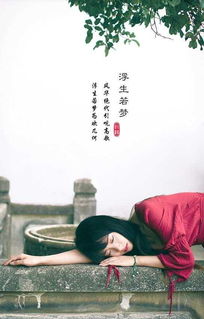 苦學(xué),詩(shī)句,激勵