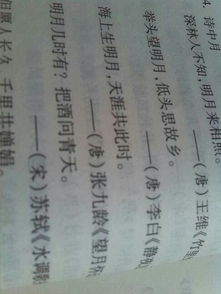 詩(shī)句,描寫(xiě),擁有,書(shū)籍