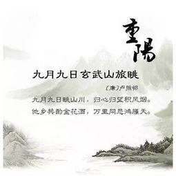 寫(xiě)重陽(yáng)節的詩(shī)句古詩(shī)小學(xué),關(guān)于重陽(yáng)的詩(shī)句古詩(shī),描寫(xiě)重陽(yáng)的詩(shī)句古詩(shī)