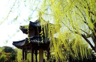 描寫(xiě)江蘇的古詩(shī)句