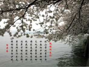 古詩(shī)描寫(xiě)桃花的詩(shī)句有哪些,大林寺桃花古詩(shī)描寫(xiě)桃花的詩(shī)句,描寫(xiě)桃花的詩(shī)句古詩(shī)三年級