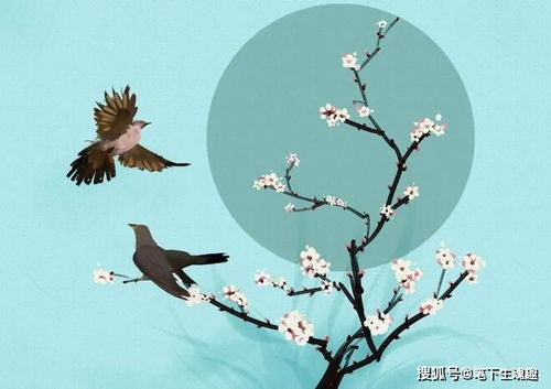 古詩(shī)詞中有鳥(niǎo)的詩(shī)句