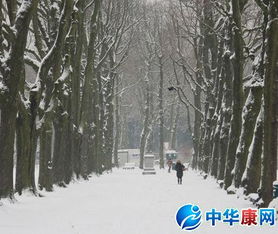 關(guān)于贊美冬季的詩(shī)句