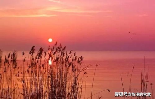 詩(shī)句,江水,夕陽(yáng)
