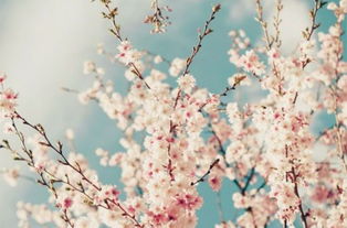 關(guān)于三月的詩(shī)句勵志