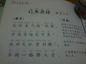 兩句,詩(shī)句,珍惜
