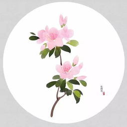 關(guān)于中國花的詩(shī)句