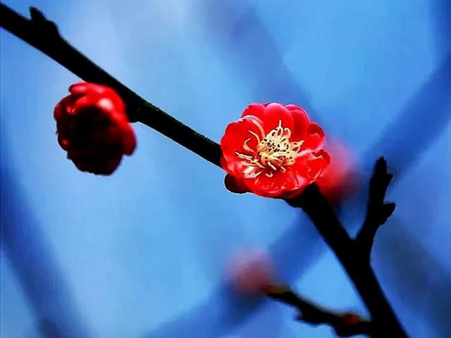 關(guān)于云的形態(tài)的詩(shī)句