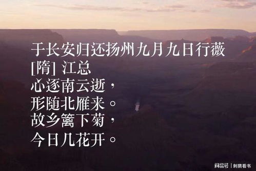 關(guān)于重陽(yáng)節的詩(shī)句10首