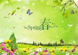 描寫(xiě)春天優(yōu)美的詩(shī)句古詩(shī)