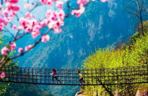 水上美景古詩(shī)詩(shī)句