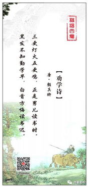 你想到哪些關(guān)于勸學(xué)的古詩(shī)句
