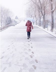詩(shī)句,腳印,于雪