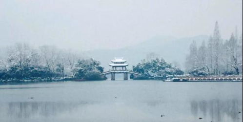 詩(shī)句,憂(yōu)傷,于雪