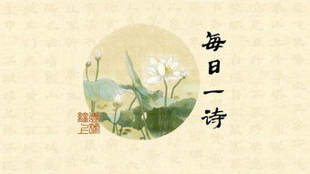 人來(lái),古詩(shī),詩(shī)句,不驚