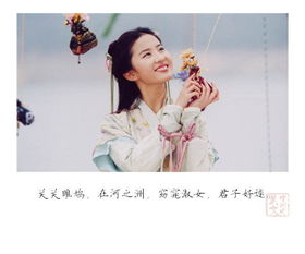 詩(shī)經(jīng)中很美很冷門(mén)的古詩(shī)句