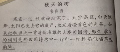 作文開(kāi)頭喪的句子