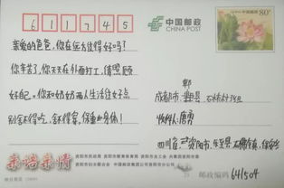 親情溫暖我心作文開(kāi)頭結(jié)尾