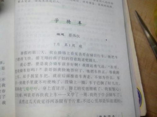 寫(xiě)我學(xué)會(huì )了什么的作文開(kāi)頭怎么寫(xiě)
