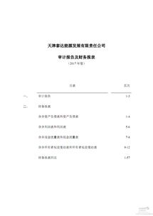 公司年度審計報告(公司年度審計報告)
