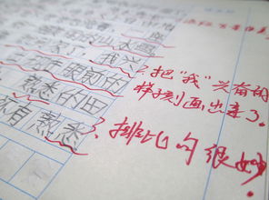 關(guān)于自信精彩作文開頭