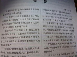 爺爺為我送傘作文開(kāi)頭