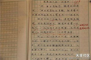 五級關(guān)于父母抒情作文開(kāi)頭結尾