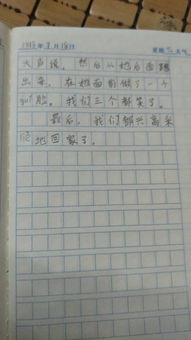 我的發(fā)現的作文的開(kāi)頭怎么寫(xiě)