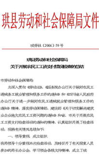 開(kāi)展農民工工作自查報告()