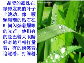 寫(xiě)景的開(kāi)頭初中作文