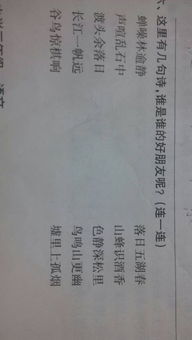 愛(ài)為題作文開(kāi)頭