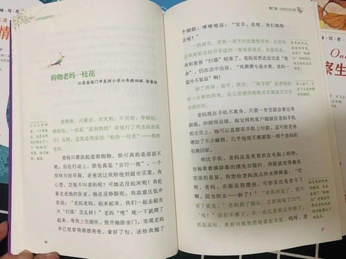 她是這樣熱情作文開(kāi)頭