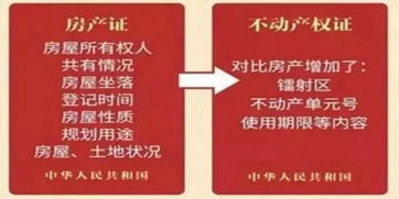 不動(dòng)產(chǎn)權(quán)號(hào)是幾位數(shù)編號(hào)(不動(dòng)產(chǎn)權(quán)編號(hào)是幾位數(shù))