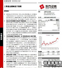 審計報告審計意見(jiàn)范文(審計意見(jiàn)及建議)