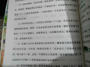 引用開(kāi)頭作文摘抄50字