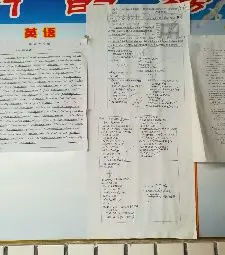 回訪(fǎng)母校總結范文(母校回訪(fǎng)實(shí)踐總結)