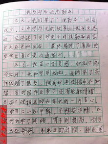 奮斗的人生最精彩作文600字作文開(kāi)頭