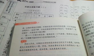 關(guān)于描寫家用電器作文(關(guān)于描寫家用電器的說(shuō)明文)