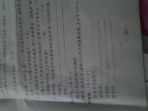 關(guān)于如果時(shí)間可以倒流的作文開(kāi)頭