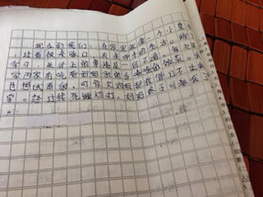 作文自己做飯開頭