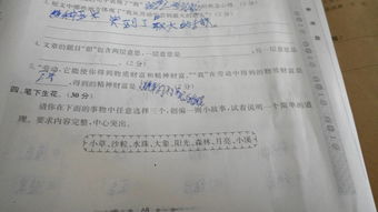 我家的歡樂(lè )事的作文600字作文開(kāi)頭