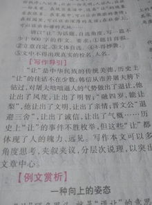我與文明相遇作文開(kāi)頭結尾