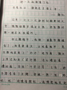 我讀懂了你作文開頭