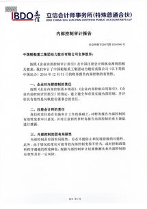 集團公司內部審計報告(公司內部審計報告格式)