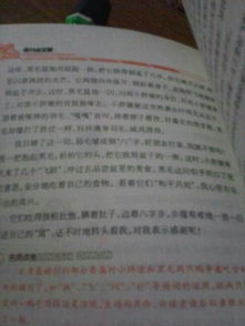 寫一篇關(guān)于人與動物的作文開頭