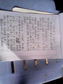 那次我懂得了珍惜作文開(kāi)頭結(jié)尾怎么寫(xiě)