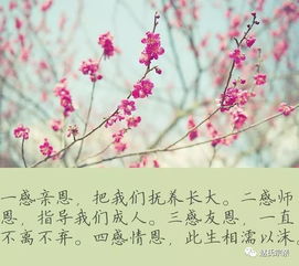 滴水之恩當涌泉相報的作文開頭