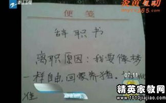 工程造價(jià)員 辭職報告()